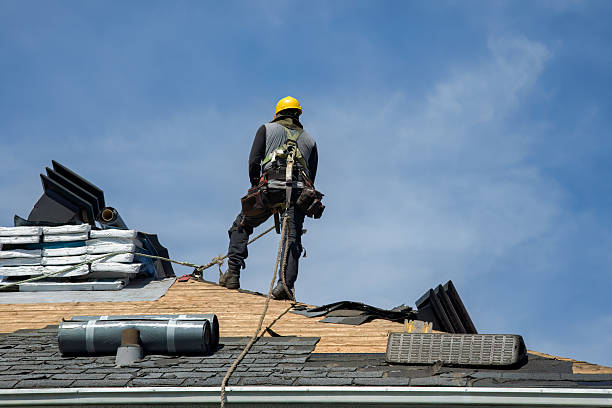 Professional Roofing technician working in Ferris, IL